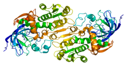 Meet the ADH4 enzyme: Ozzy’s personal genetic bouncer and the ultimate
'shield' for his liver
